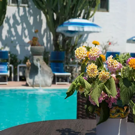 In Bb - Ischia-forio With A Breathtaking View, Above The Poseidon Gardens بيت ضيافة *